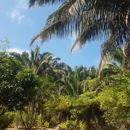 Eco Hostal Monolandia เอลไซโน ภายนอก รูปภาพ