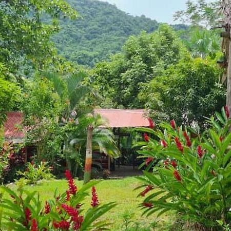 Eco Hostal Monolandia เอลไซโน ภายนอก รูปภาพ