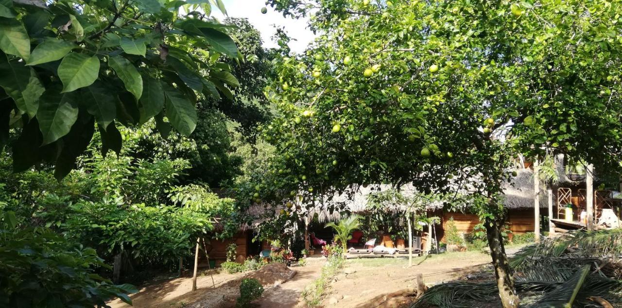 Eco Hostal Monolandia เอลไซโน ภายนอก รูปภาพ