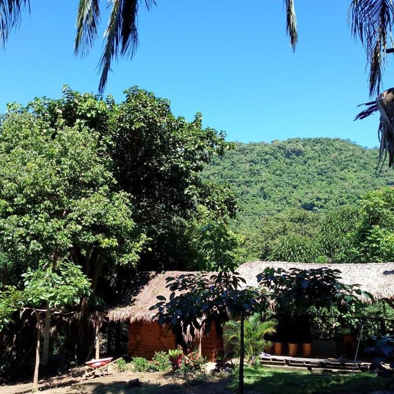 Eco Hostal Monolandia เอลไซโน ภายนอก รูปภาพ