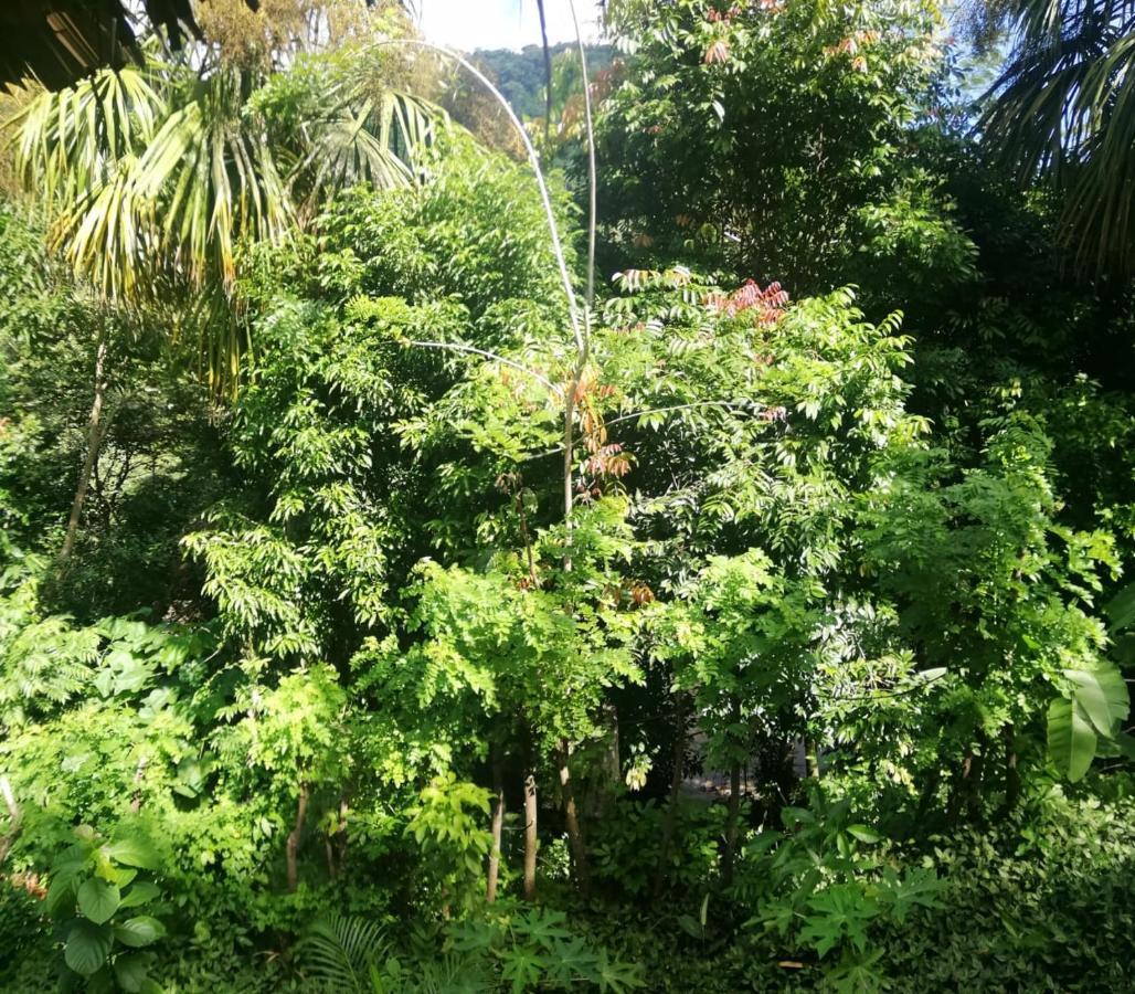 Eco Hostal Monolandia เอลไซโน ภายนอก รูปภาพ