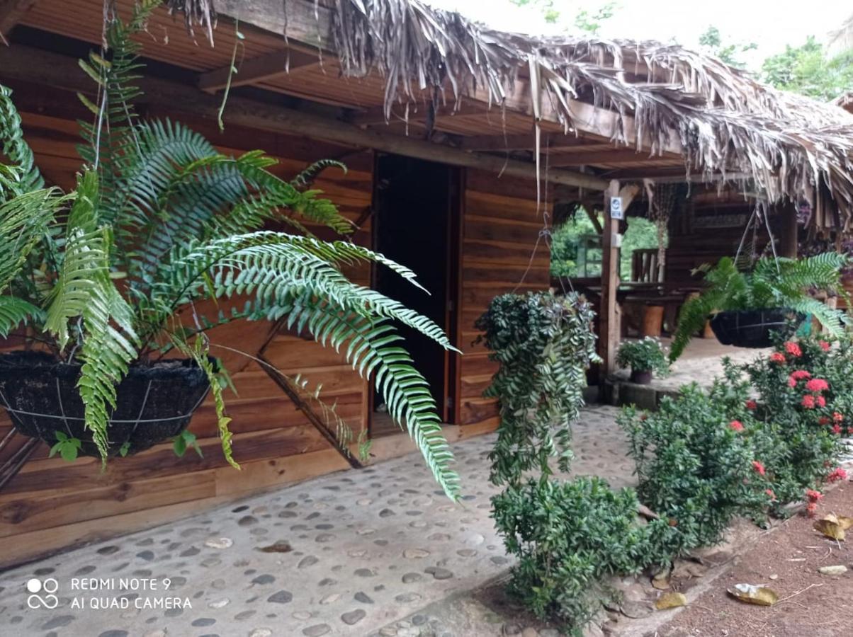 Eco Hostal Monolandia เอลไซโน ภายนอก รูปภาพ