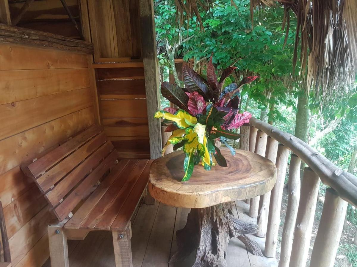 Eco Hostal Monolandia เอลไซโน ภายนอก รูปภาพ