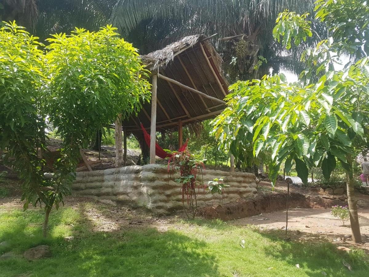 Eco Hostal Monolandia เอลไซโน ภายนอก รูปภาพ