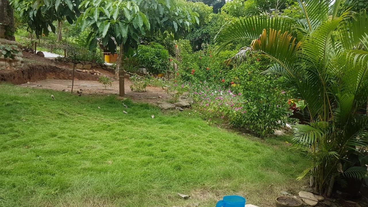 Eco Hostal Monolandia เอลไซโน ภายนอก รูปภาพ