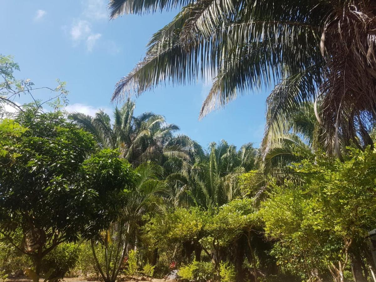 Eco Hostal Monolandia เอลไซโน ภายนอก รูปภาพ