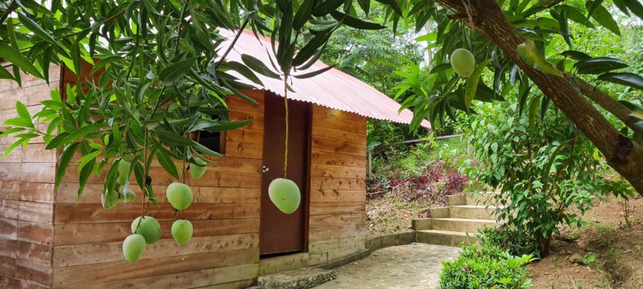 Eco Hostal Monolandia เอลไซโน ภายนอก รูปภาพ