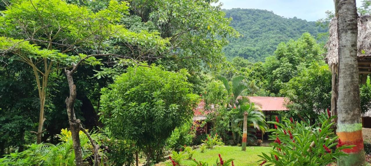 Eco Hostal Monolandia เอลไซโน ภายนอก รูปภาพ