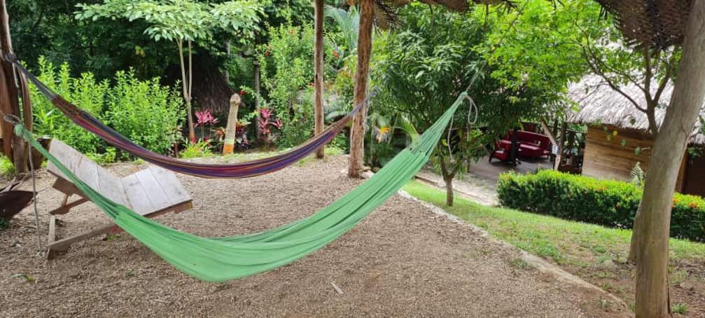 Eco Hostal Monolandia เอลไซโน ภายนอก รูปภาพ