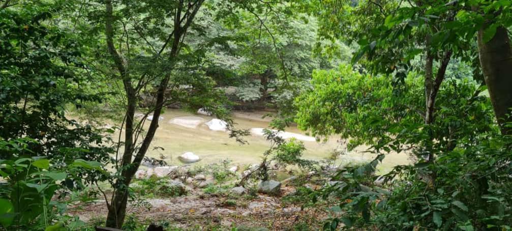 Eco Hostal Monolandia เอลไซโน ภายนอก รูปภาพ