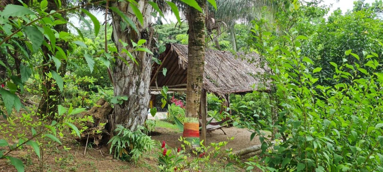 Eco Hostal Monolandia เอลไซโน ภายนอก รูปภาพ
