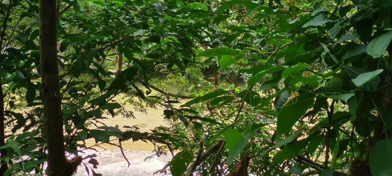 Eco Hostal Monolandia เอลไซโน ภายนอก รูปภาพ