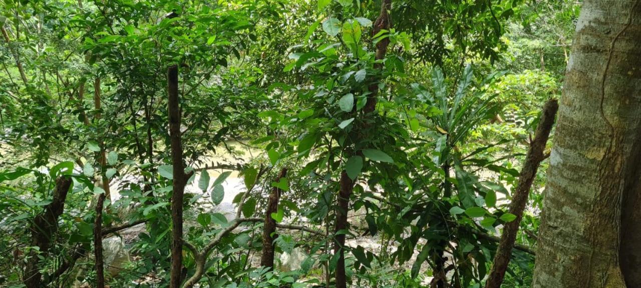 Eco Hostal Monolandia เอลไซโน ภายนอก รูปภาพ