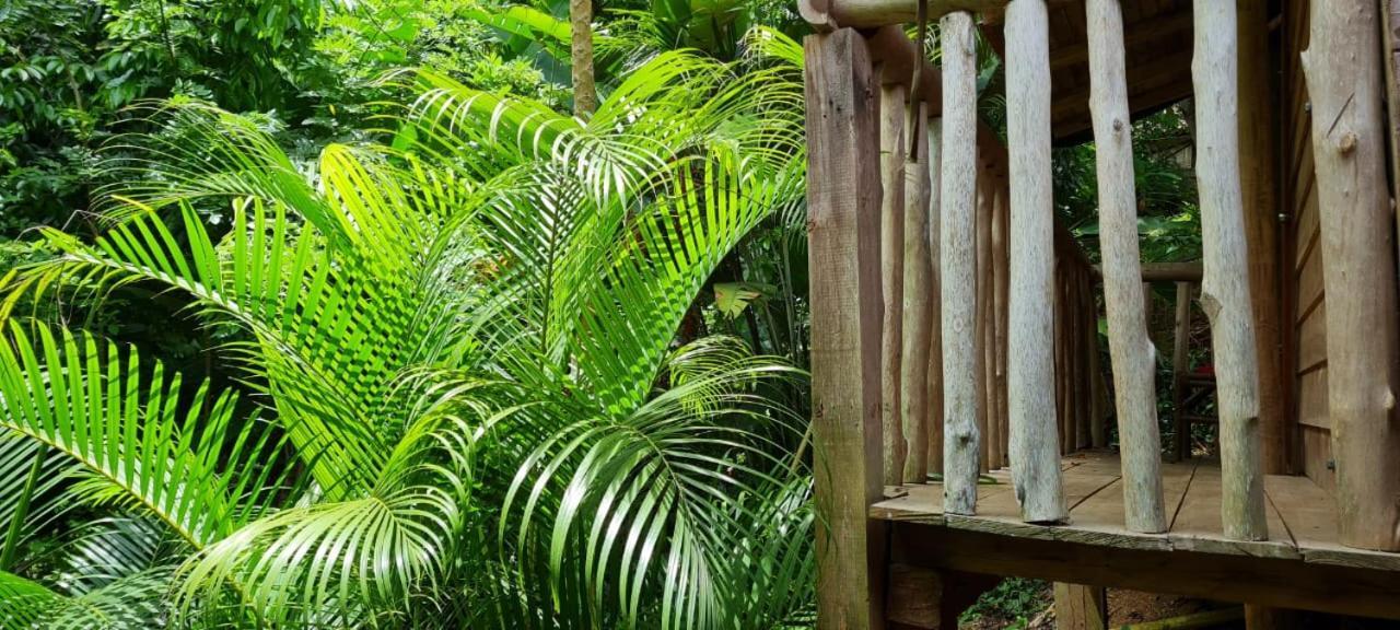 Eco Hostal Monolandia เอลไซโน ภายนอก รูปภาพ