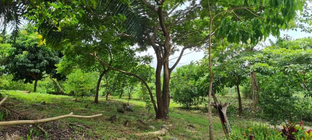 Eco Hostal Monolandia เอลไซโน ภายนอก รูปภาพ