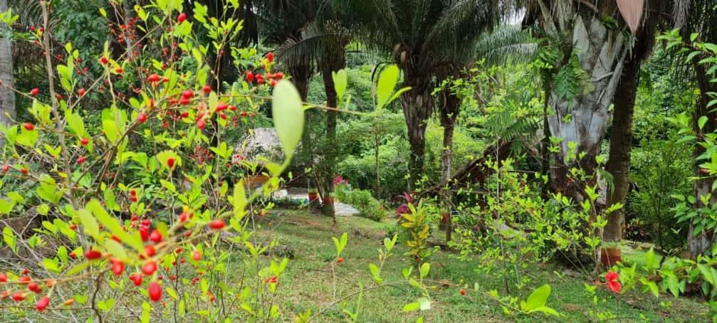 Eco Hostal Monolandia เอลไซโน ภายนอก รูปภาพ