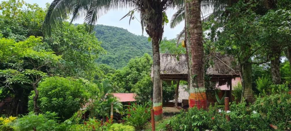 Eco Hostal Monolandia เอลไซโน ภายนอก รูปภาพ