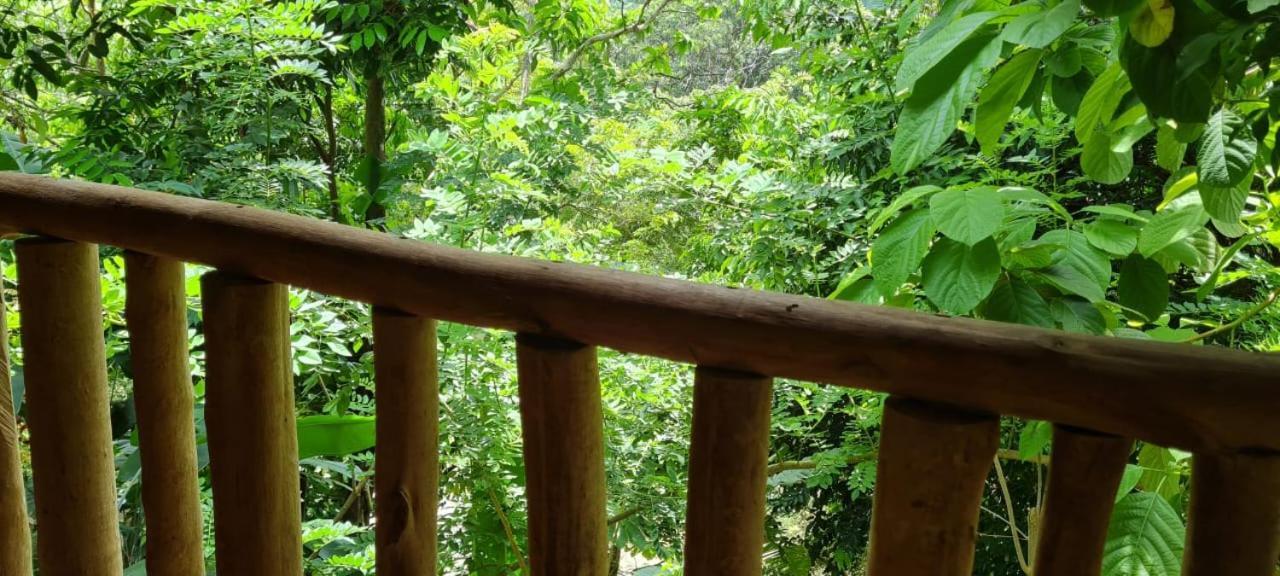 Eco Hostal Monolandia เอลไซโน ภายนอก รูปภาพ