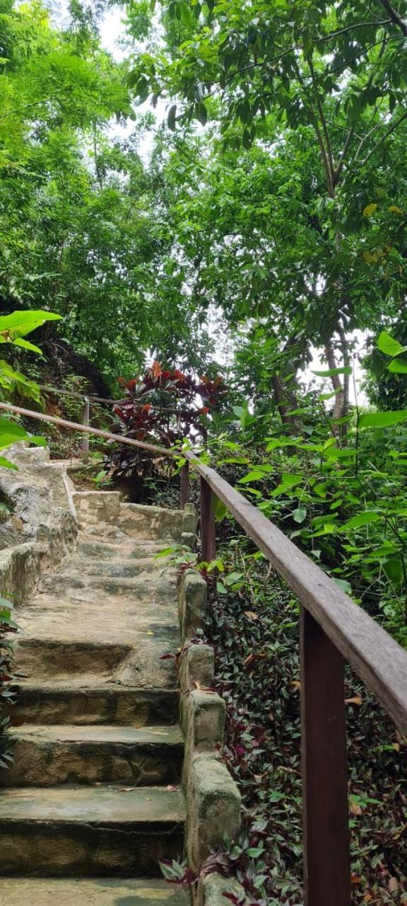 Eco Hostal Monolandia เอลไซโน ภายนอก รูปภาพ