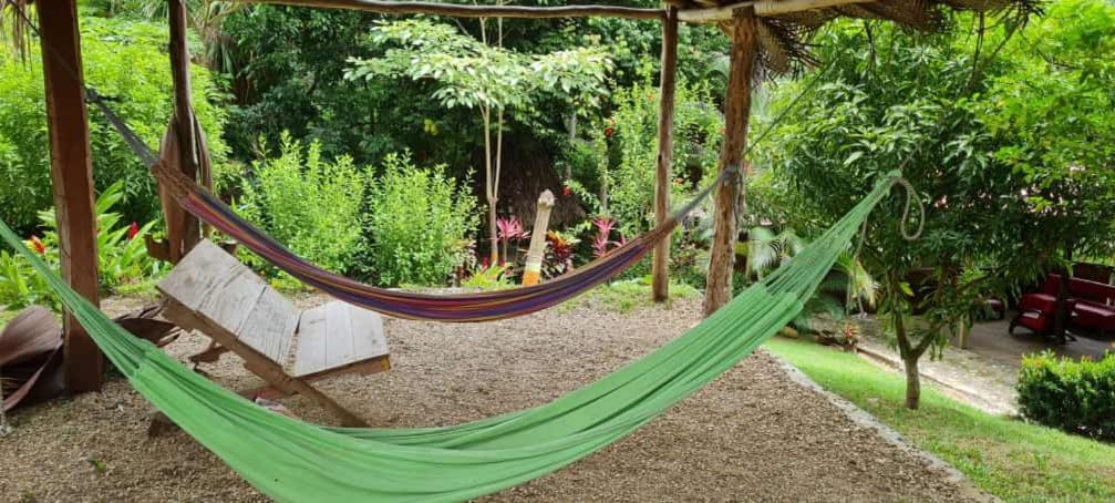 Eco Hostal Monolandia เอลไซโน ภายนอก รูปภาพ
