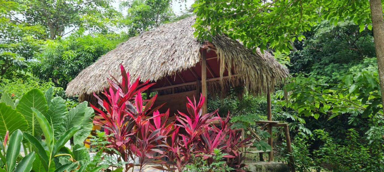 Eco Hostal Monolandia เอลไซโน ภายนอก รูปภาพ