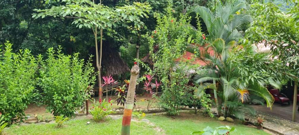 Eco Hostal Monolandia เอลไซโน ภายนอก รูปภาพ