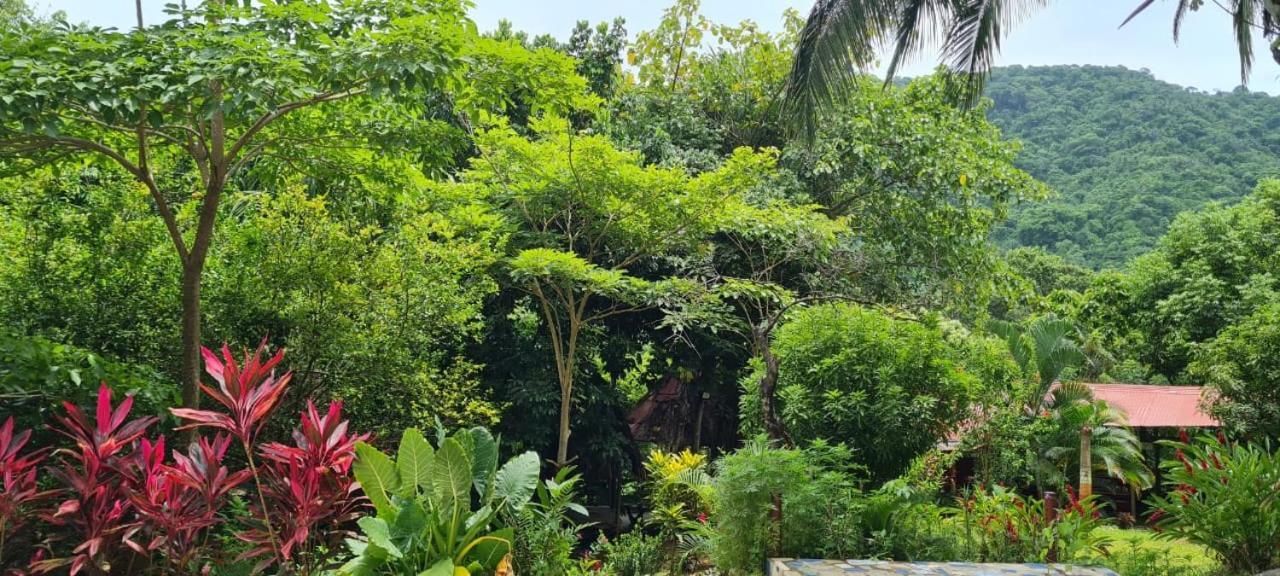 Eco Hostal Monolandia เอลไซโน ภายนอก รูปภาพ