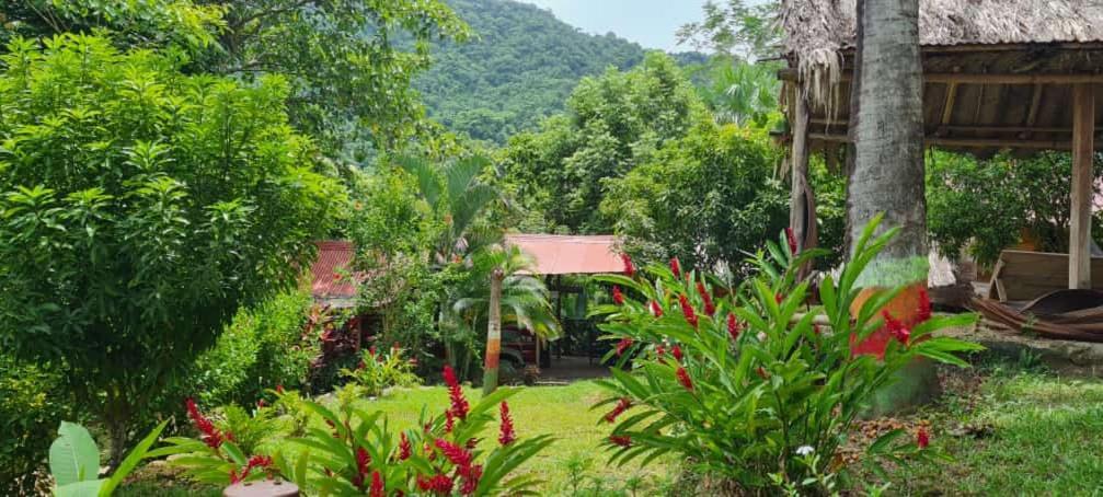 Eco Hostal Monolandia เอลไซโน ภายนอก รูปภาพ