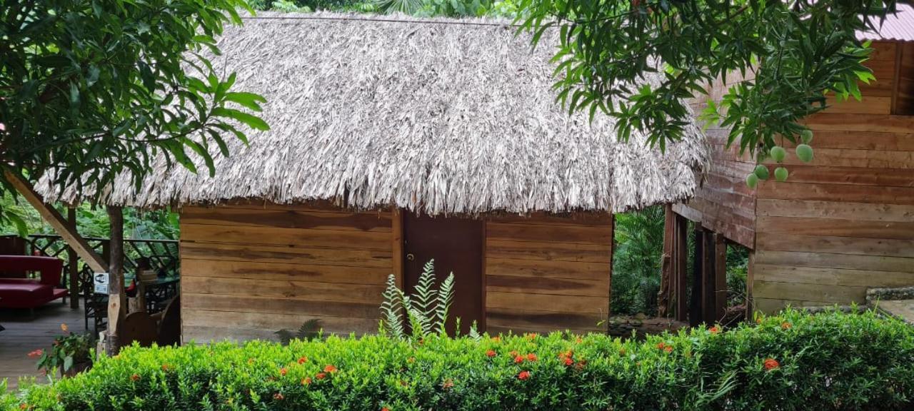 Eco Hostal Monolandia เอลไซโน ภายนอก รูปภาพ