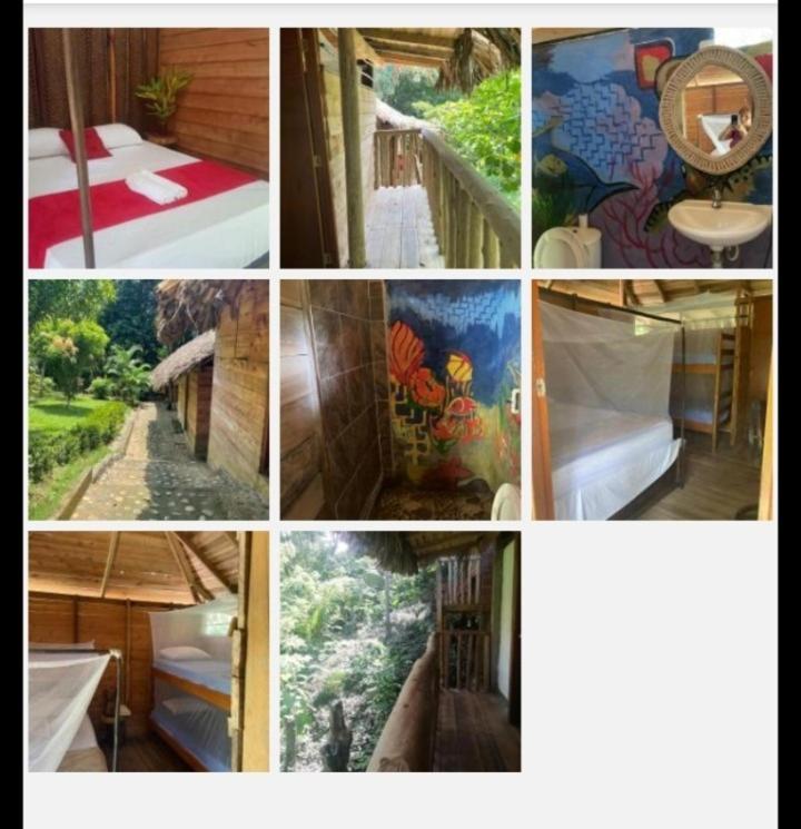 Eco Hostal Monolandia เอลไซโน ห้อง รูปภาพ