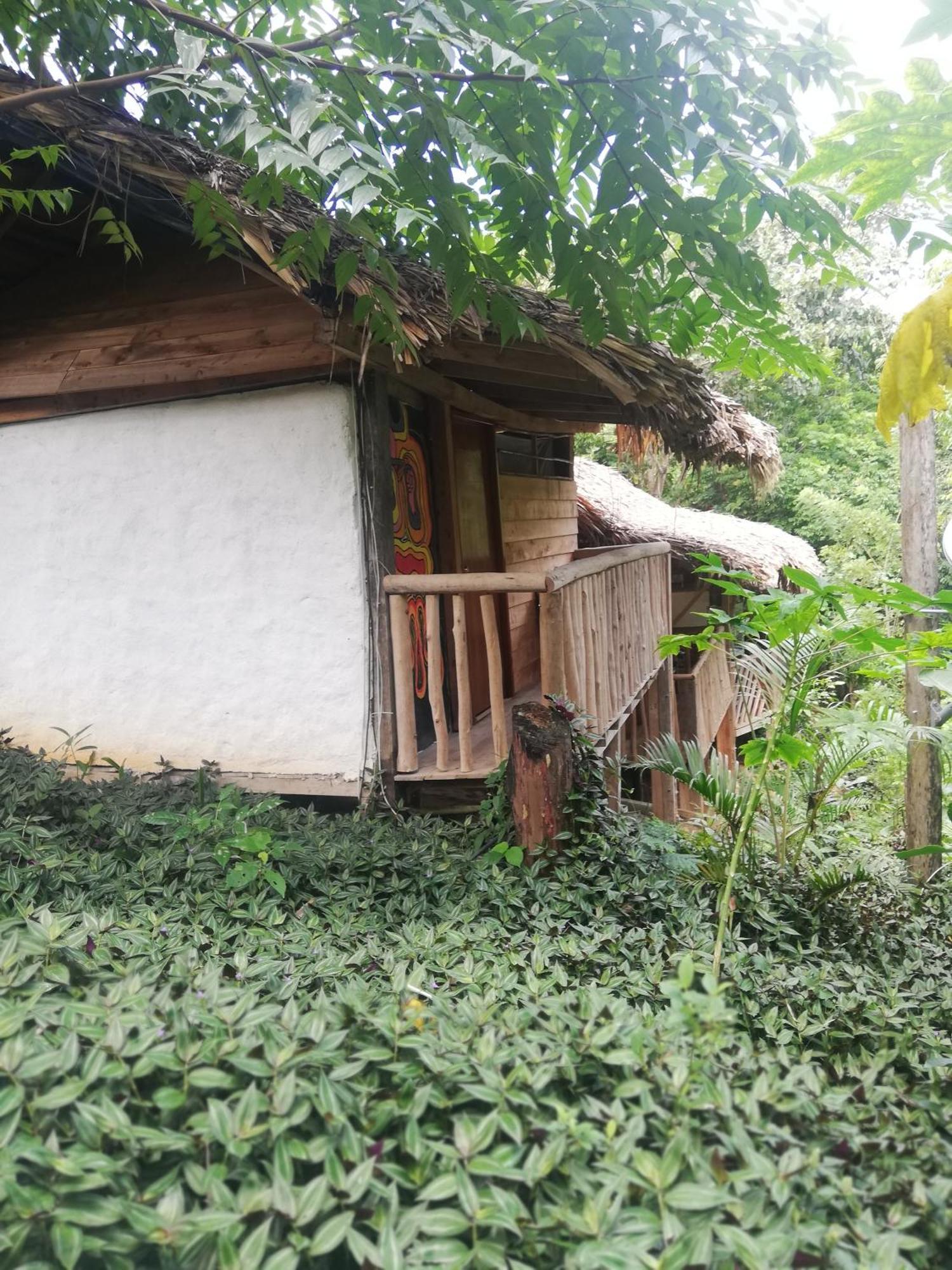Eco Hostal Monolandia เอลไซโน ห้อง รูปภาพ